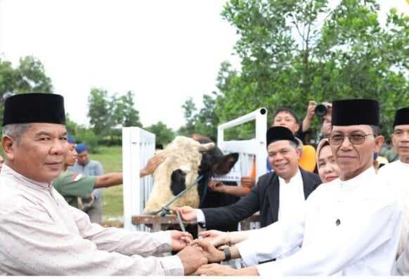 6.807 Hewan Kurban Disembelih di Batam saat Iduladha 1446 Hijriah