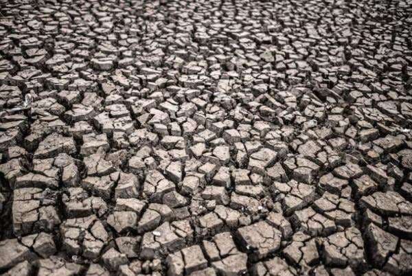 Bondowoso Jatim Dilanda Kekeringan, 149 KK Terdampak