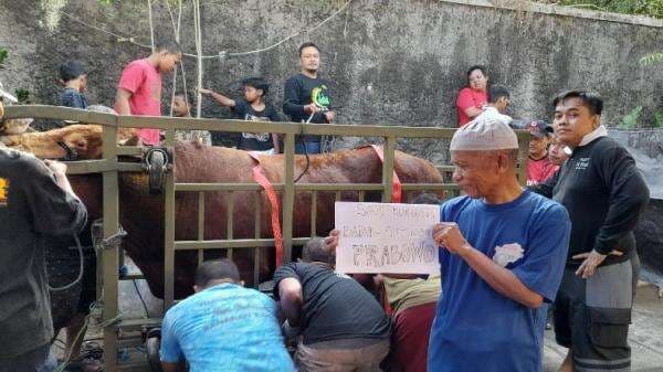 Gerindra Sukoharjo Serahkan Sapi Limosin Kurban Prabowo untuk Yayasan Al Mukharomah