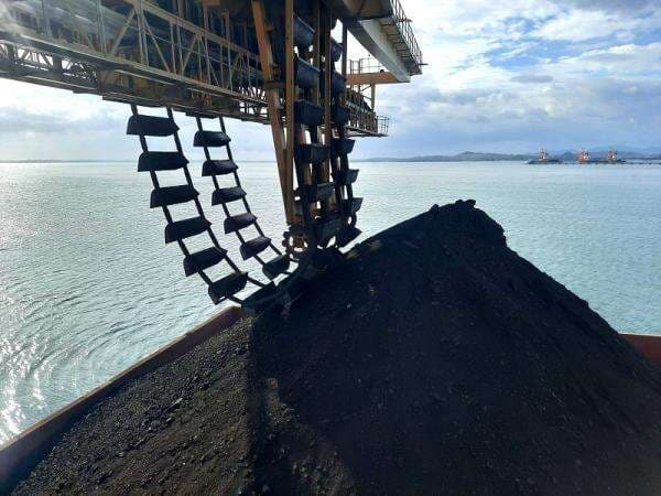 Kurangi Batu Bara, RI Perkuat Produksi Biomassa untuk Pembangkit Listrik