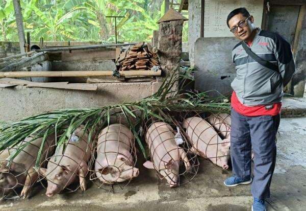Jelang Galungan, Disperpa Badung Pantau Daging Babi Layak dan Aman Konsumsi