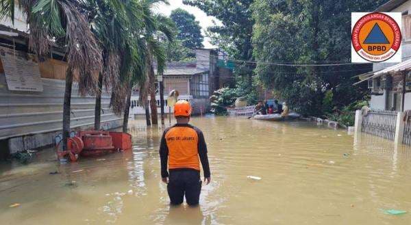 100 RT dan 3 Ruas Jalan di Jakarta Masih Terendam Banjir, Terbanyak Jaktim