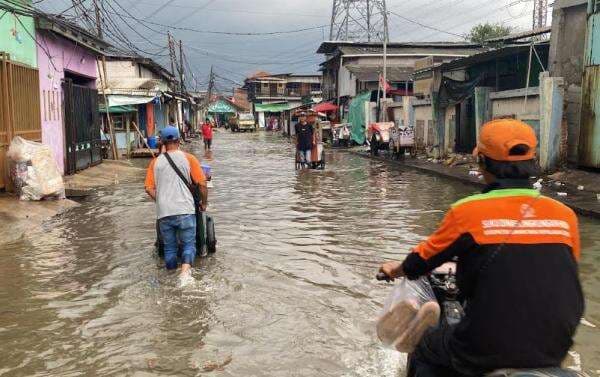 Terdampak Banjir Rob, Warga Pluit Minta Pemerintah Buatkan Tanggul
