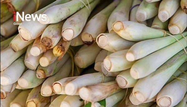 Daun Sereh, Bumbu Dapur dengan Segudang Khasiat Kesehatan