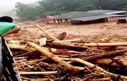 Imbas Banjir dan Longsor, Kemenhut Hentikan Pemanfaatan dan Pengangkutan Kayu di Sumatera