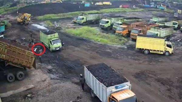 Perkelahian di Jambi Terekam CCTV, Sopir Truk Tewas Kepala Dihantam Bongkahan Batu Bara