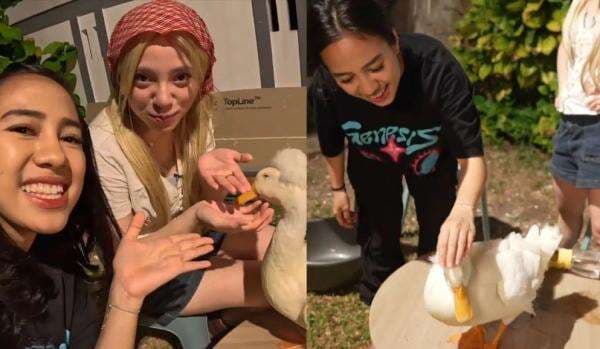 Belajar Merawat Bebek, Azia Diuji Antara Berani dan Panik