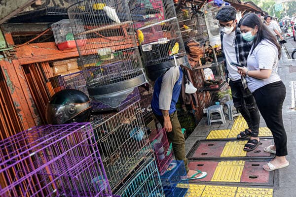 Pemprov DKI Ungkap Praktik Monopoli di Pasar Barito, Satu Pedagang Kuasai 15 Kios