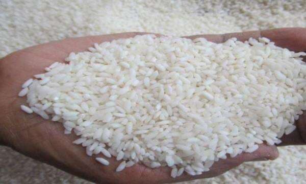 Perkuat Ketahanan Pangan hingga MBG, RI Punya Ekosistem Beras Biofortifikasi