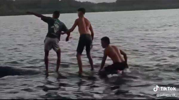 Momen Anak-Anak Papua Berenang Bareng Paus di Raja Ampat, Bikin Takjub!