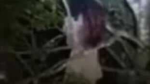 Warga Geger, Video Kuntilanak Bergelantungan di Pohon Viral di Sinjai Timur