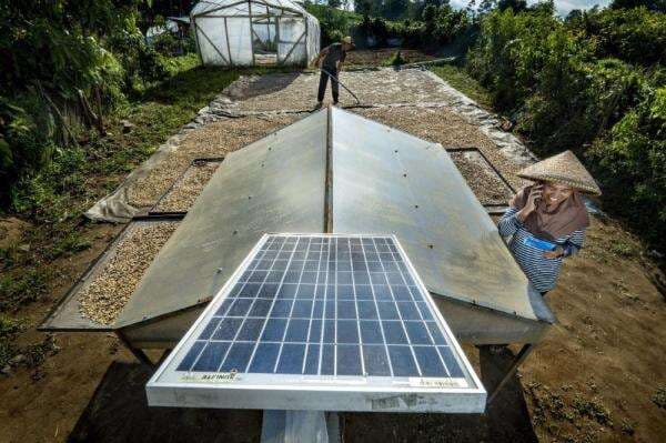 Berkomitmen Sebagai World-Class Sustainable Banking Group, BRI Perkuat Kontribusi terhadap SDGs