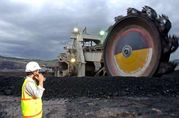 Eksportir Wajib Pakai Harga Batu Bara Acuan, Ini Respons Dirut PTBA