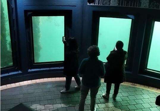 Menikmati Observatorium Bawah Laut di Busselton Jetty Australia