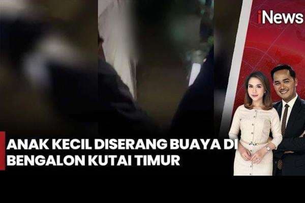 Terekam Video Bocah 10 Tahun Diserang Buaya di Kutai Timur, Warga Histeris