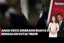 Terekam Video Bocah 10 Tahun Diserang Buaya di Kutai Timur, Warga Histeris