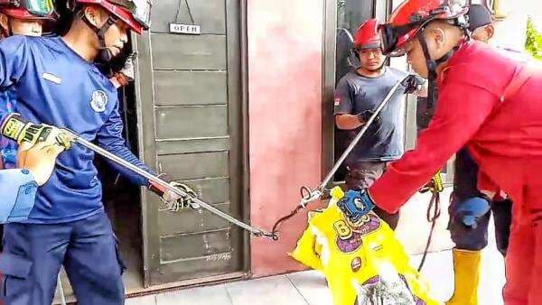 Ular Lidi Masuk ke Ruang Tamu Membuat Penghuni Rumah Panik, Damkar Segera Lakukan Evakuasi