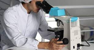 Indonesia-Australia Teken MoU Kerja Sama Pendidikan dan Riset