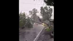 Mencekam! Puting Beliung Terjang Bondowoso Terekam Kamera Warga, Rumah Rusak Pohon Tumbang
