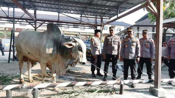 Idul Adha 2025, Polres Pemalang Berkurban 24 Ekor Hewan Kurban, Berikut Ini Rinciannya!