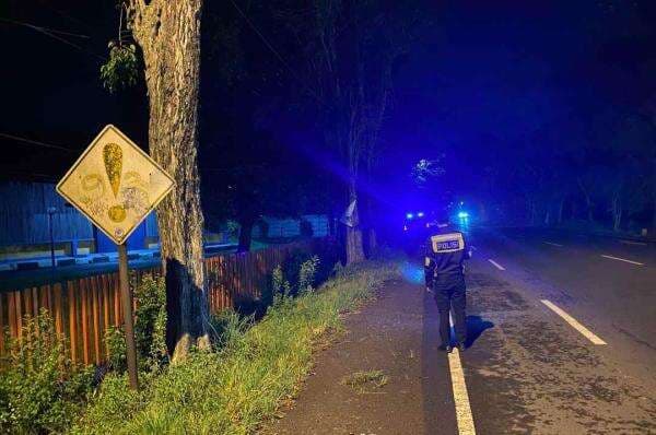Tragis! Cowok-Cewek Tewas Tabrak Pohon Besar di Tepi Jalan Raya Jombang, Begini Kondisinya