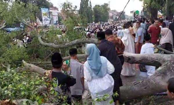 Pemalang Berduka! Pohon Beringin Tumbang Menimpa Jemaah Salat Idul Fitri, 2 Meninggal Dunia
