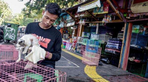 Legislator Ini Dukung Relokasi Pedagang Barito ke Sentra Fauna Lenteng Agung Legislator Ini Dukung Relokasi Pedagang Barito ke Sentra Fauna Lenteng Agung