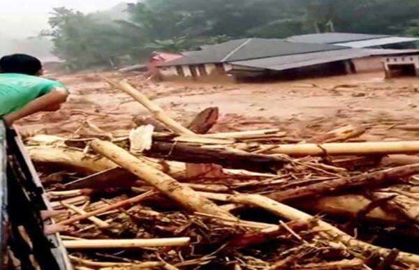 Viral Kayu Gelondongan Terseret Banjir di Tapanuli, MPR: Aparat Harus Tindaklanjuti!