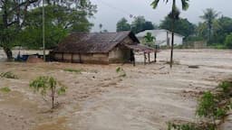 Dampak Banjir dan Longsor Sumatra: 139.485 Rumah Rusak, Terbanyak di Aceh