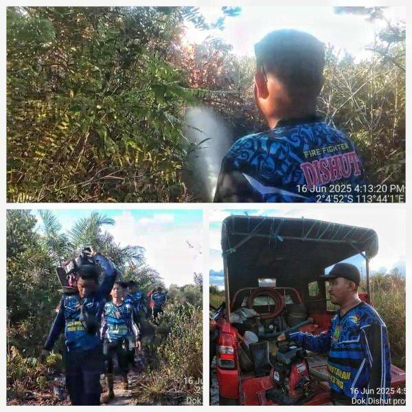 Tim Dalkarhutla Dishut Kalteng Kembali Padamkan Kebakaran Lahan di Bukit Batu, Palangka Raya