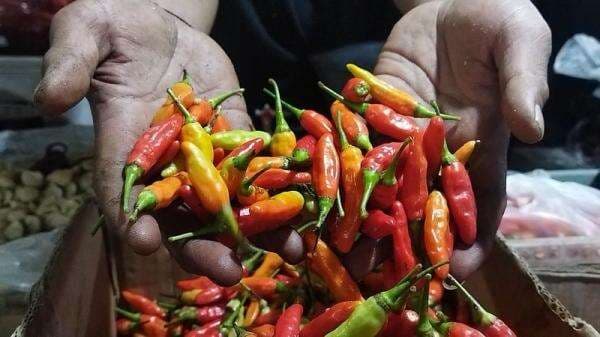 Harga Cabai Rawit hingga Bawang Merah Melambung, Tembus Segini!