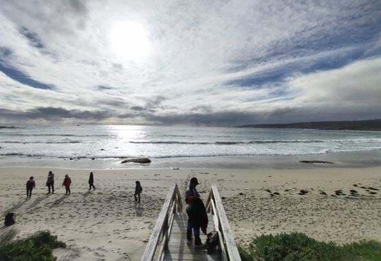 Cape To Cape Tours, Menyusuri Jalur Pendakian di Kanal Raksasa Alami di Western Australia