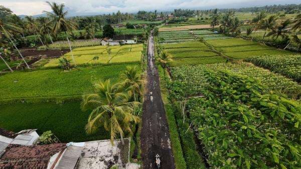 Tanggapi Keluhan Warga, Sejumlah Titik Jalan Rusak di Lumajang Segera Diperbaiki