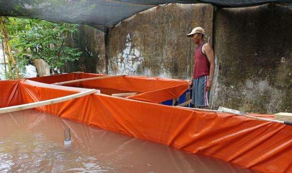 Sekali Sikat, Lele 30 Kilogram dan Helm Milik Warga Tisnonegaran Kota Probolinggo Dimaling