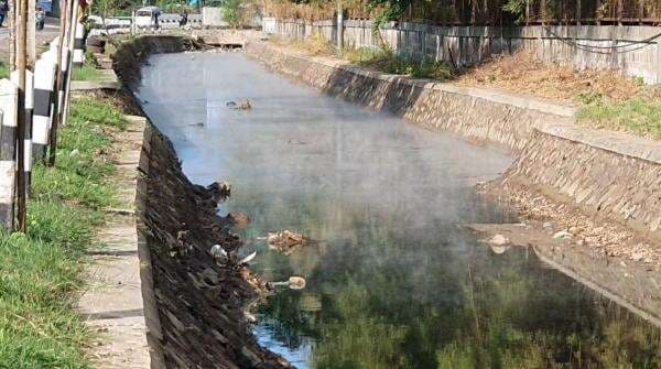 Sungai Berasap dan Bau Gosong! Diduga Limbah Pabrik Gula Cemari Kali di Cilegon Sungai Berasap dan Bau Gosong! Diduga Limbah Pabrik Gula Cemari Kali di Cilegon