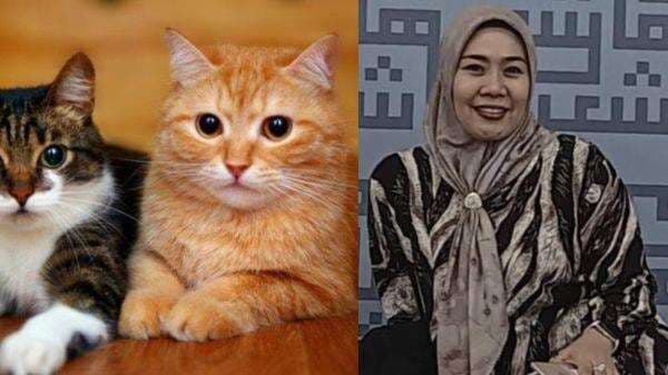 Almarhum Eny Soedarwati Tinggalkan Puluhan Kucing di Rumahnya