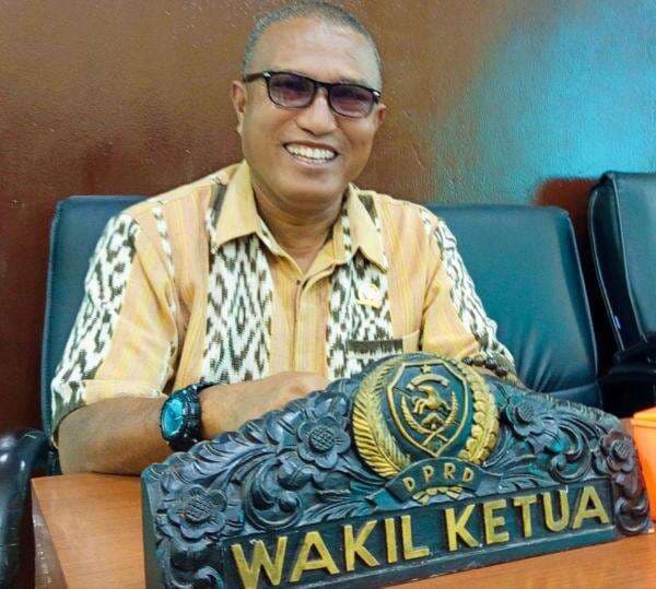 Kematian Ibu Di Sikka, DPRD NTT Minta Dokter Anestesi diberi Sanksi, Solusi Program Sister Hospital