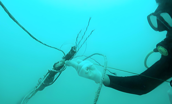 Saham KETR Bergerak di Bidang Apa? Emiten Developer Jaringan FO, Intip Daftar Proyeknya