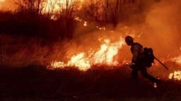 Polisi Tangkap Dirut Terra Drone Imbas Kebakaran yang Menewaskan 22 Orang