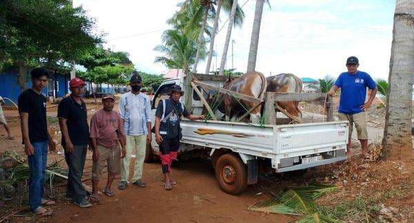 PT RJL Perkuat Harmoni Sosial dan Keberkahan di Wilayah Lingkar dan Mitra Tambang di Momen Idul Adha