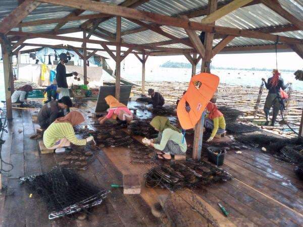 Dijadikan Tersangka, Direktur Perusahaan PMA PT Sino Indo Mutiara di NTB Mengadu ke DPR