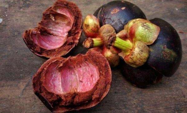 6 Manfaat Kulit Manggis bagi Kesehatan, Salah Satunya Menjaga Kadar Gula Darah