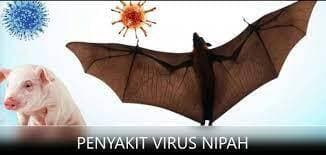 Waspada Penyebaran Virus Nipah, Barantin Perketat Lalu Lintas Komoditas Hewan dan Tumbuhan