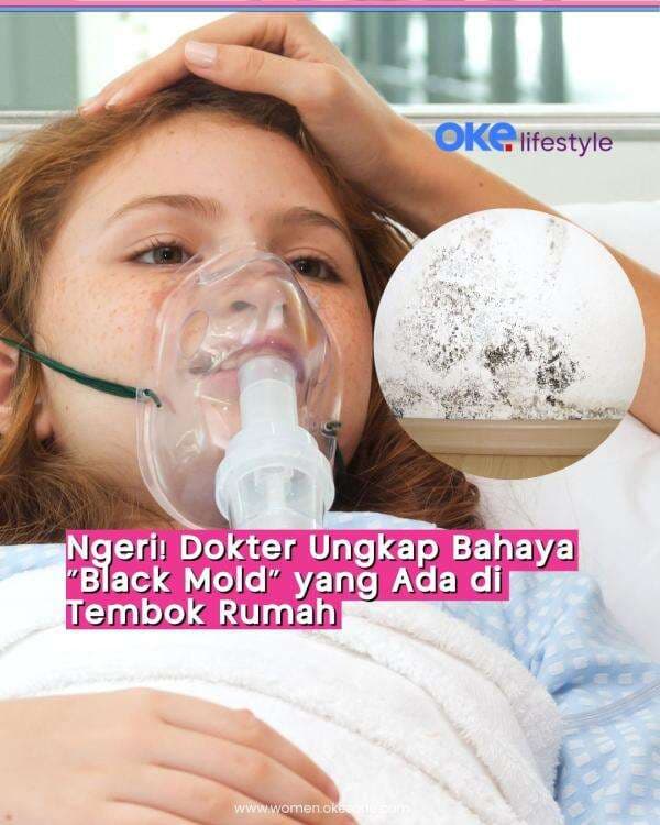 Awas! Ini Bahaya Black Mold yang Ada di Tembok Rumah