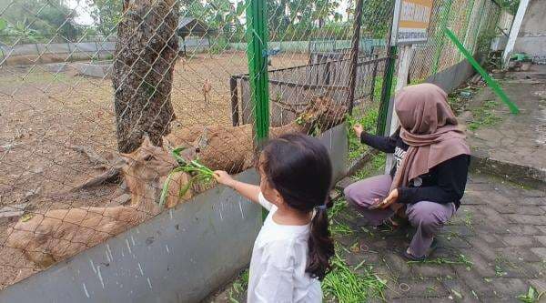 Liburan Seru di Tempat Penangkaran Rusa Jawa Malo, Wisata Edukatif dan Gratis
