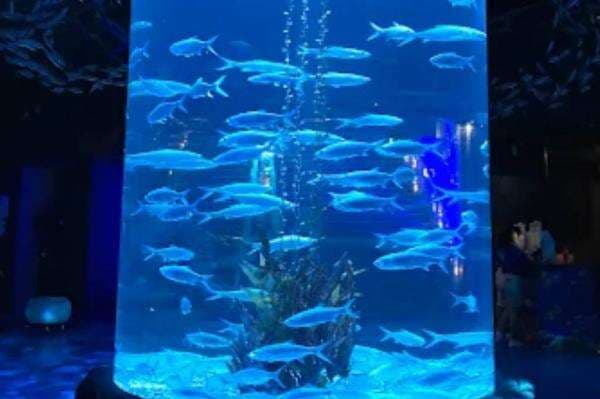 5 Tempat Wisata di Jakarta yang Lagi Hits 2025, Spot Instagramable Banget!