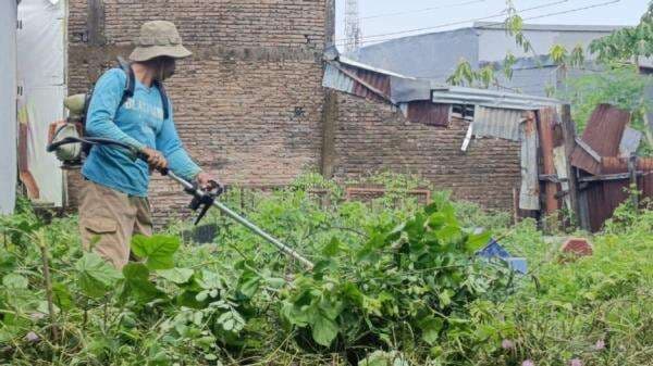 Warga Bontoala Manfaatkan Libur Bersihkan Rumput Lewat Program ANNANGKASI