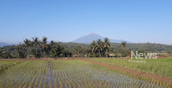 Kisah Asal Usul Nama Gunung Slamet, Ternyata Dulu Punya Dua Nama