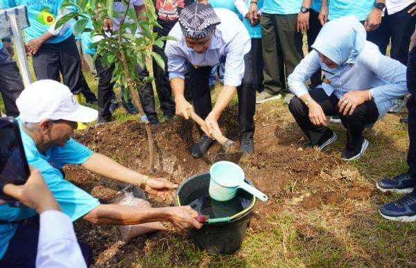 Lahan Disulap Jadi Kebun Alpukat! Program Bupati Bojonegoro di Hutan Dander