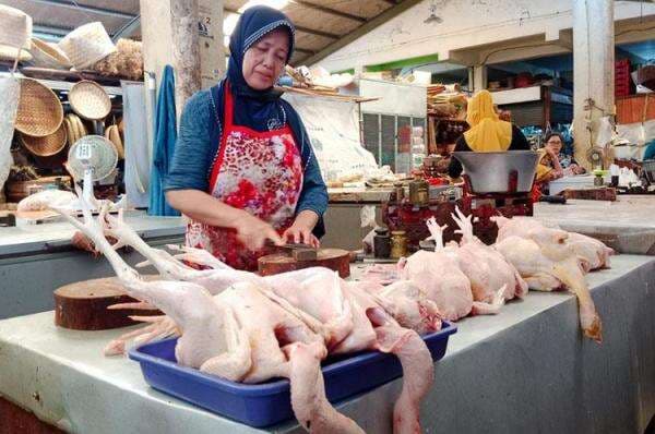 Harga Pangan Akhir Pekan 18 Mei: Daging Ayam-Gula Naik, Bawang-Cabai Turun